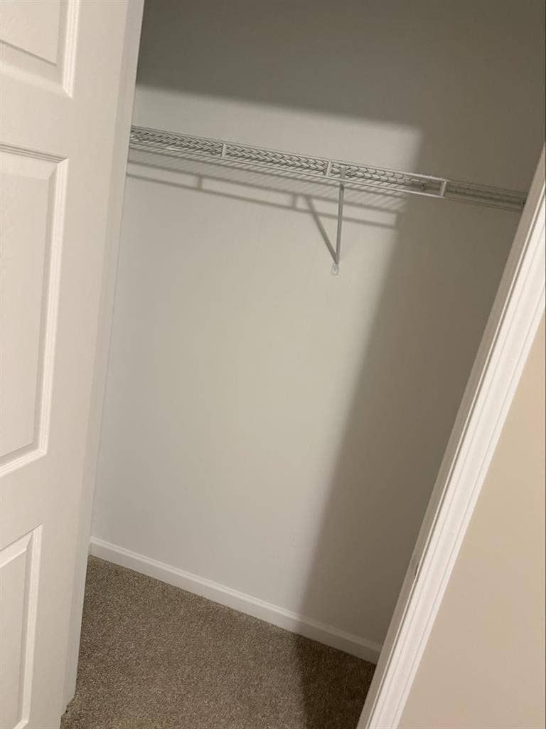 Roommate wanted