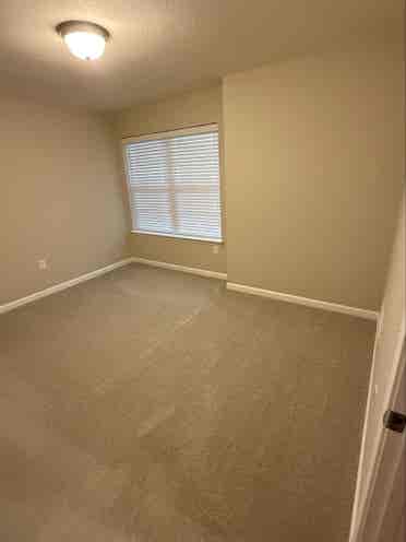 Roommate wanted