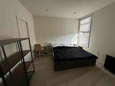 Spacious room with or w/o bathroom