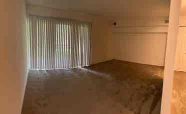 Lease Takeover, Studio, June Free