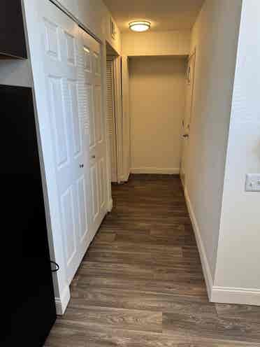 Lease Takeover, Studio, June Free