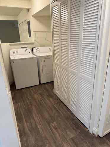 Lease Takeover, Studio, June Free