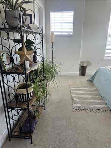 Roomie wanted for a cozy Townhouse