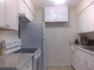 I need a nice roommate