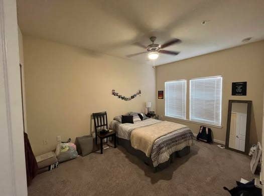 LOOKING FOR ROOMMATE