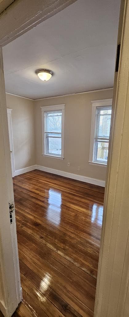 8 min walk to T Jamaica plain 7/1