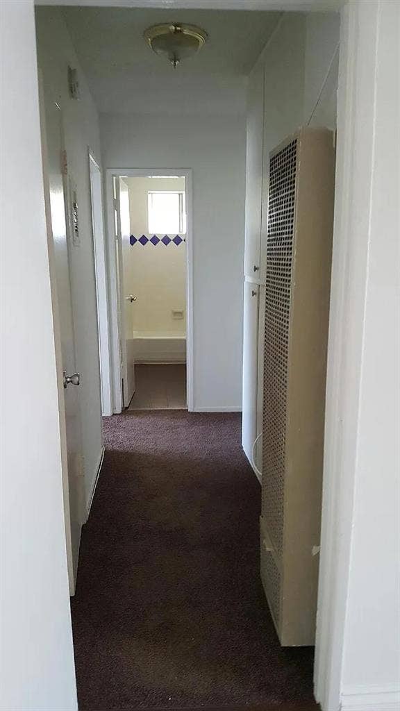 Looking for Roommate | Move-in June
