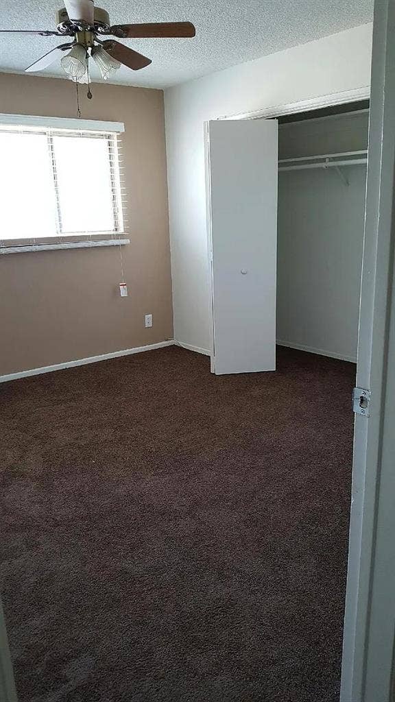 Looking for Roommate | Move-in June