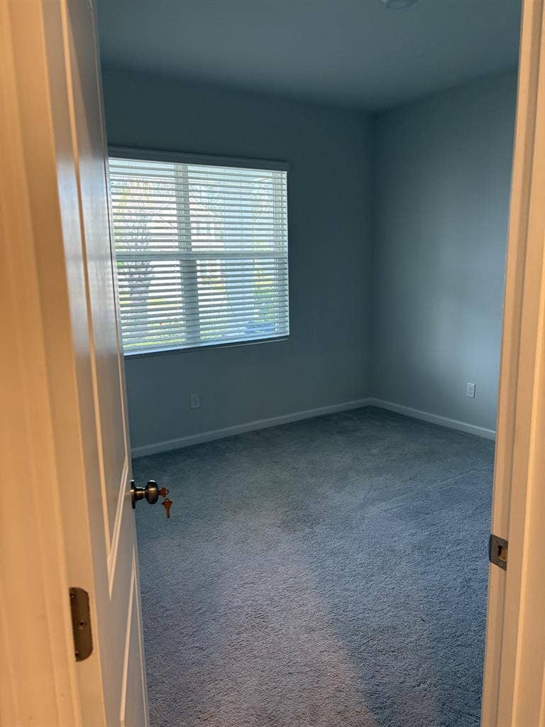 Large bd in brand new home