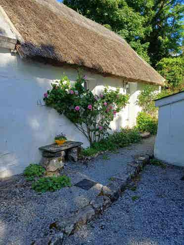 Cottage available for rent