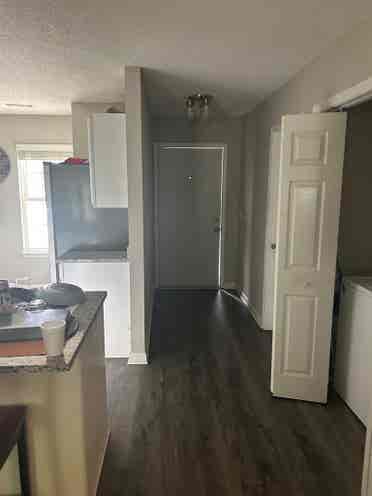 ROOM FOR RENT!  Clemson!