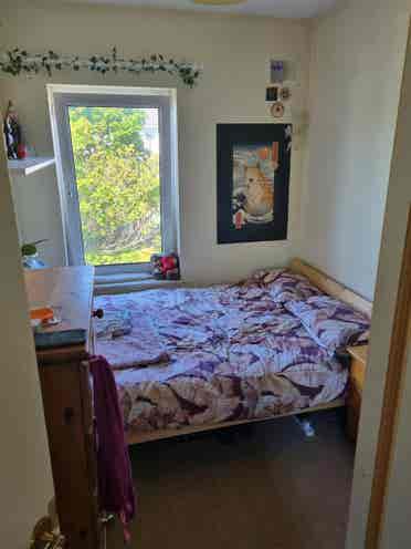 Double bedroom available, Dublin 6