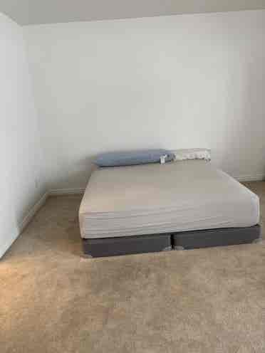 Looking for roommate
