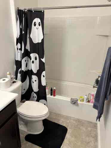 Looking for roommate