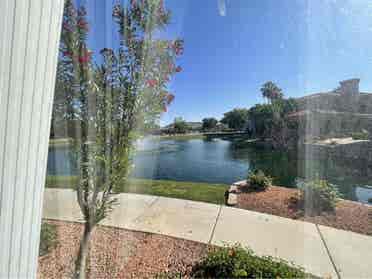 Looking for roommate