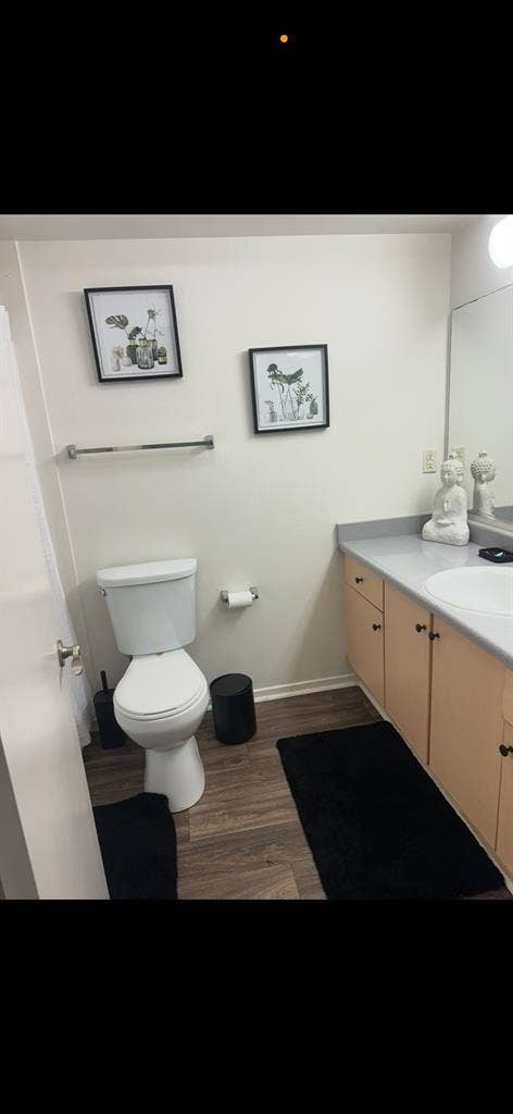 Beautiful room available July 1st