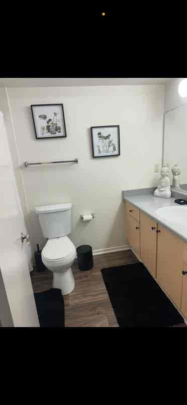 Beautiful room available July 1st