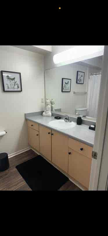 Beautiful room available July 1st