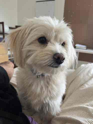 Seeking Roommate in Beverly Hills