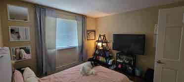 Private Room at Yorktown Apartments
