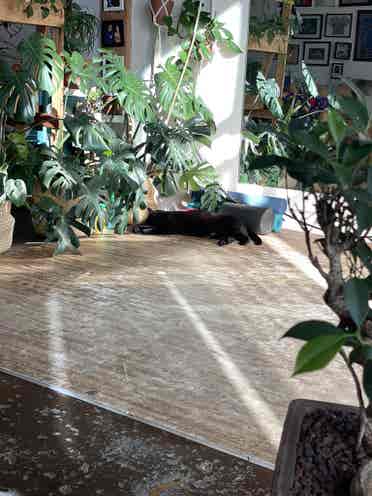 HUGE Live/Work Artist Loft Sublet
