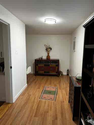 Looking for a roommate