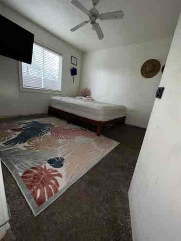 Two rooms available now!