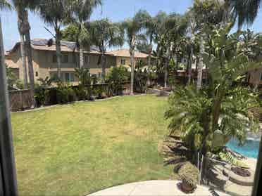 Tropical Room in Eastvale 🏡
