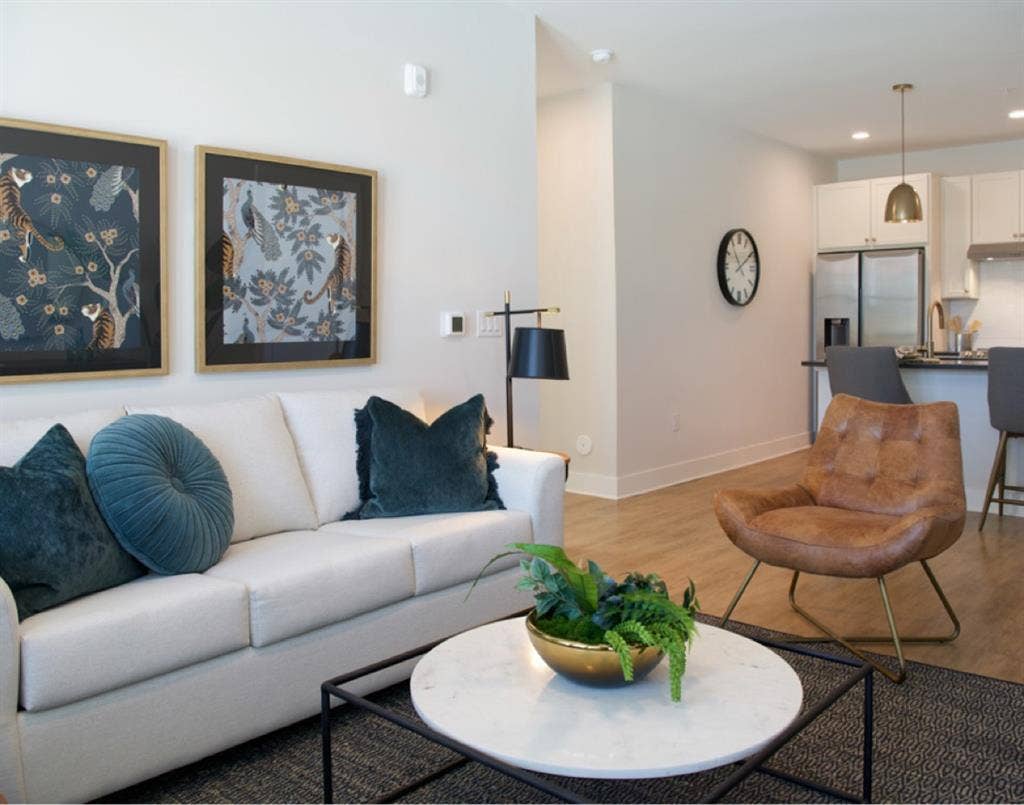 Looking for a new roommate!