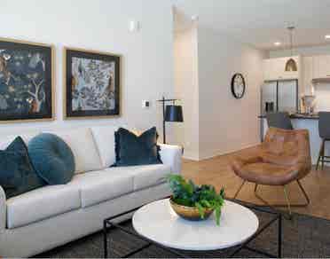 Looking for a new roommate!