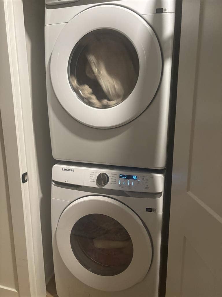 Looking for a new roommate!