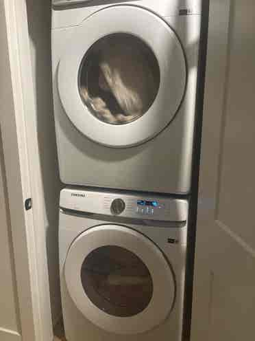 Looking for a new roommate!