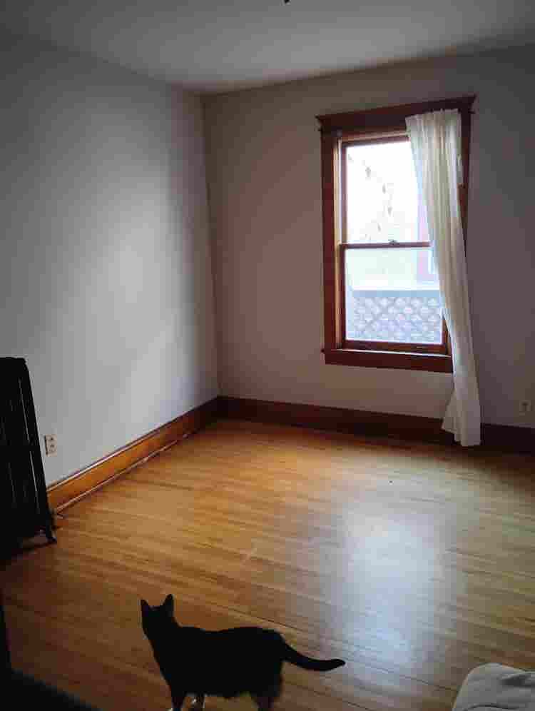 Room for Rent in Comfy Home