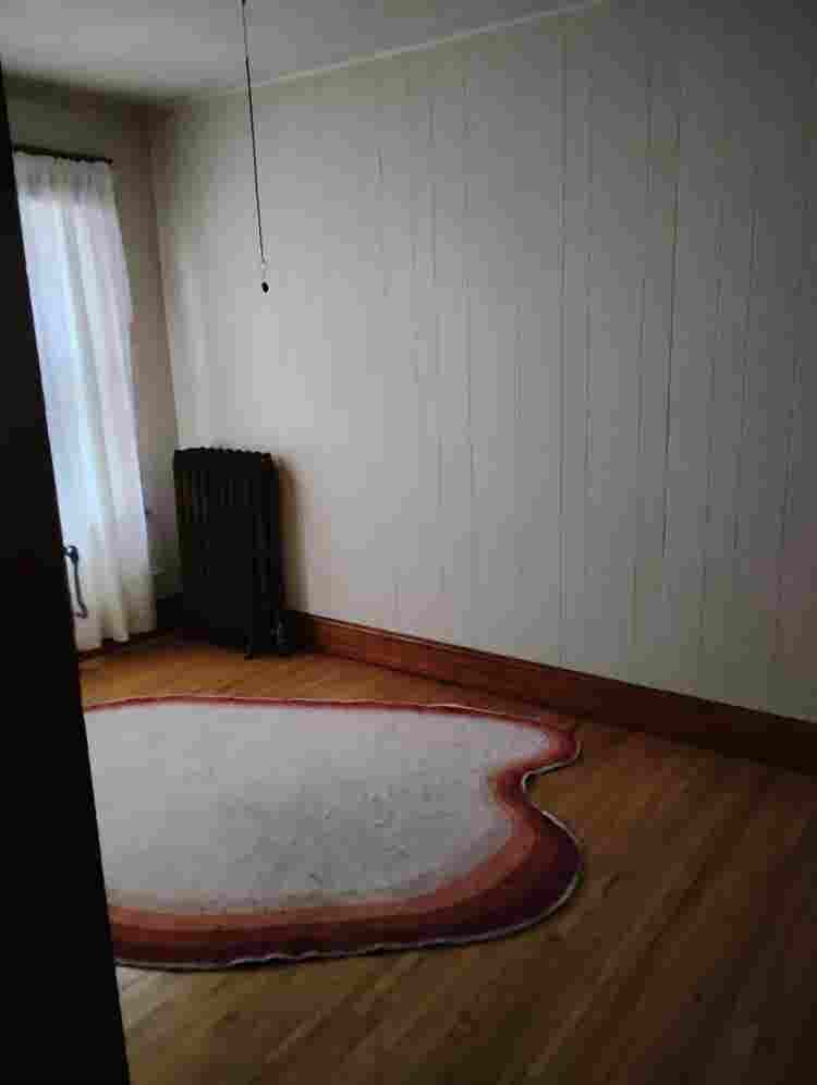 Room for Rent in Comfy Home