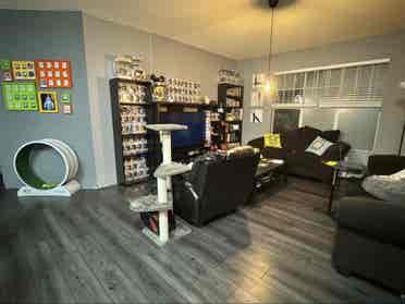 Furnished Room - Utilities Included