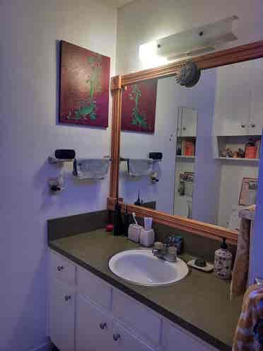 Room Near Downtown & UT Campus