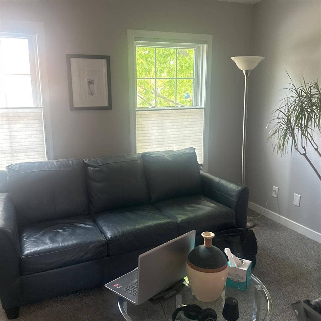 Homeowner looking for roommate