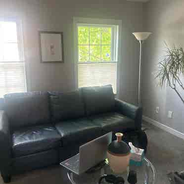 Homeowner looking for roommate