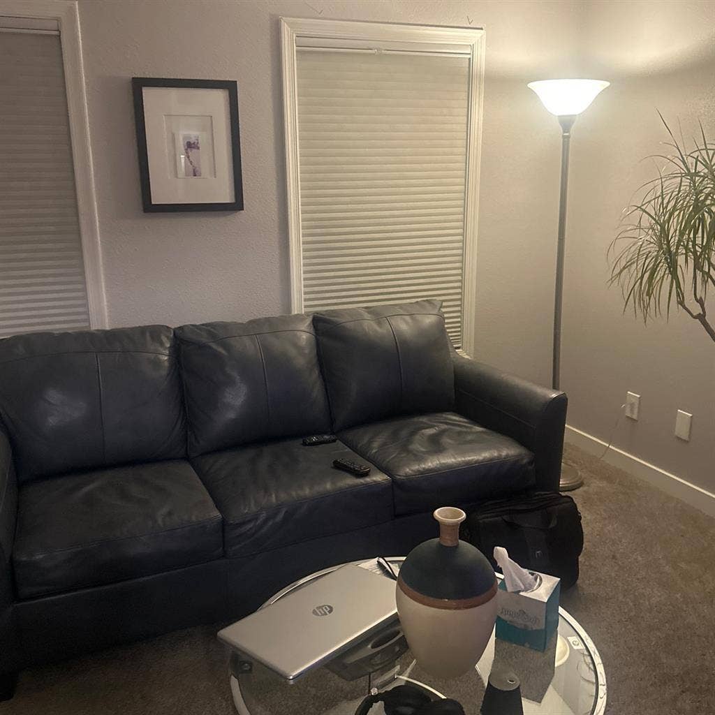 Homeowner looking for roommate