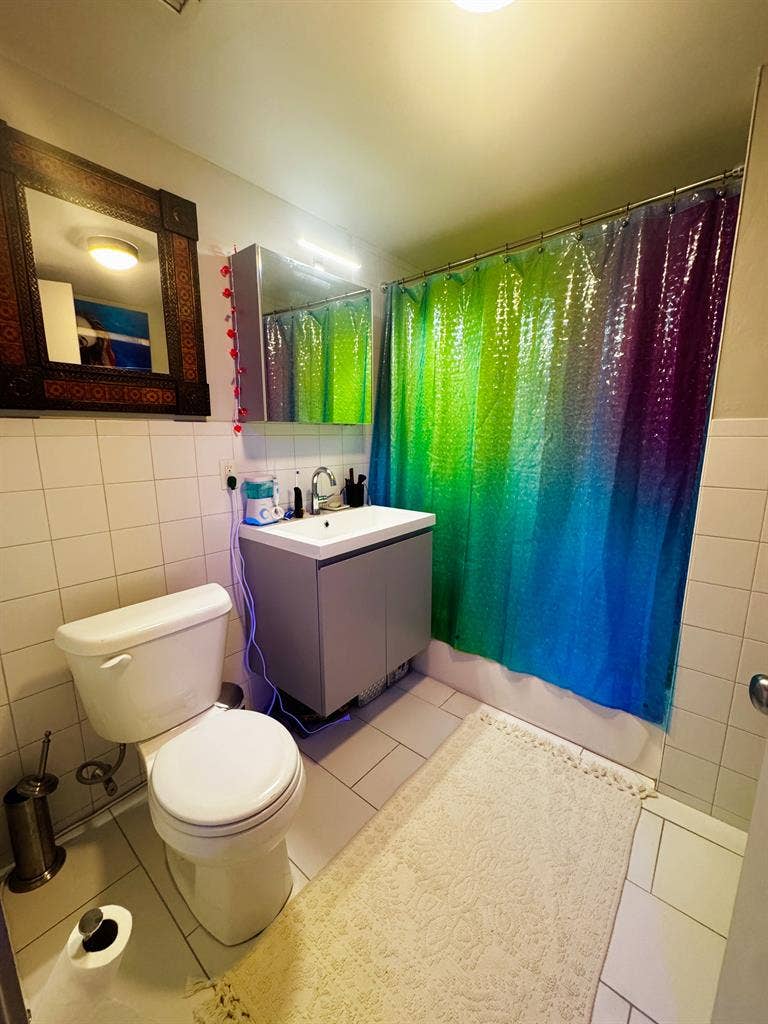 Large Bedroom/2BR Artist Penthouse