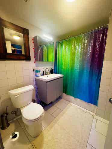 Large Bedroom/2BR Artist Penthouse