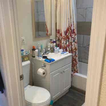 One bedroom apartment Shared
