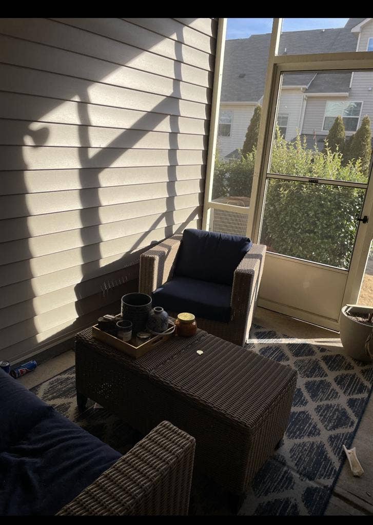 Roommate needed