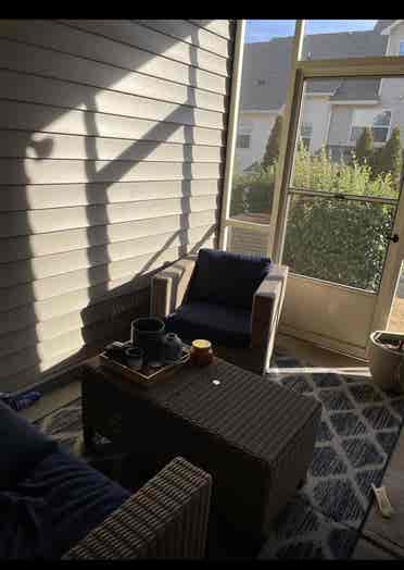 Roommate needed