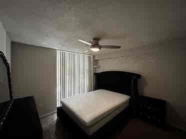 Looking for a roommate