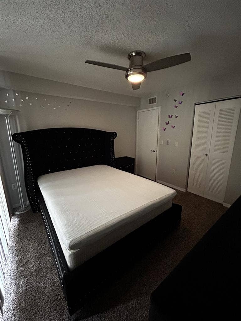 Looking for a roommate