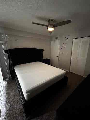 Looking for a roommate