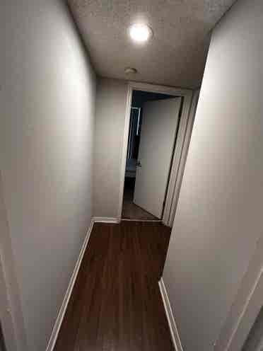 Looking for a roommate
