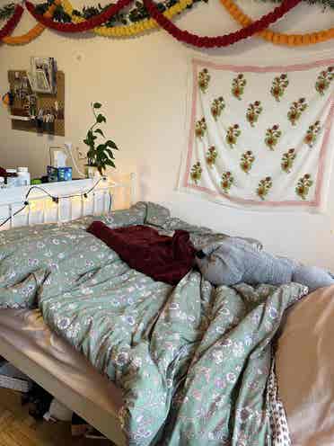 1 room available in  bt