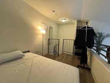 Private Loft Near CSUSM –$/month